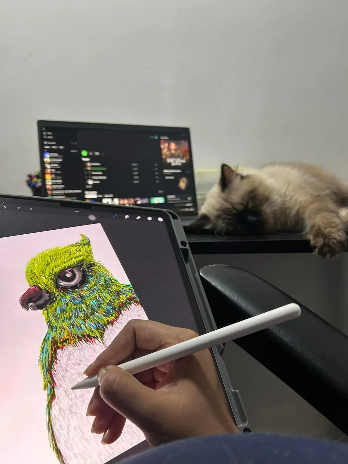 Drawing a green crested bird in Procreate on an iPad, with a seal-point cat asleep on the desk behind.