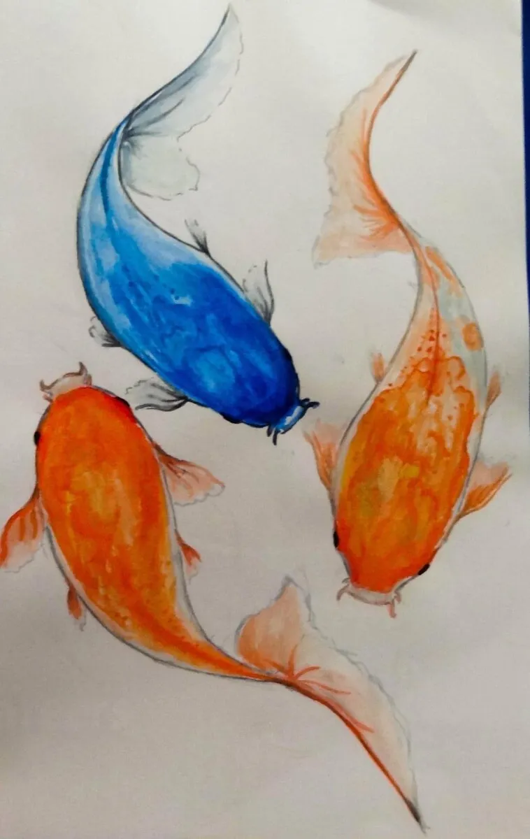 Watercolour study of two koi carp turning through pale water.