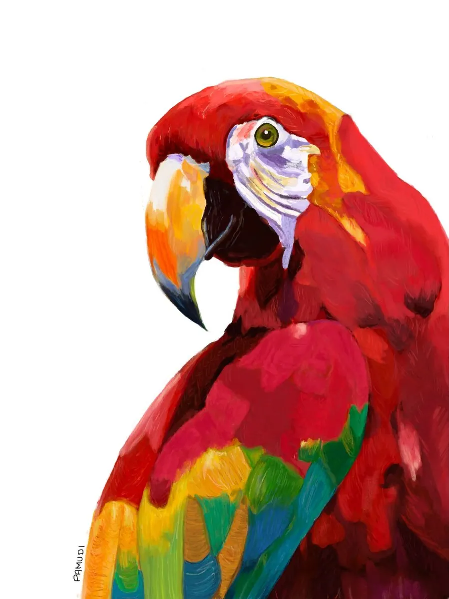 Digital painting of a macaw, the plumage laid in as blocks of saturated colour.