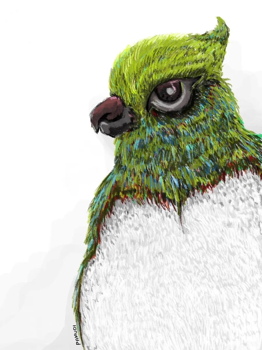 Digital painting of an owl, the facial disc drawn as concentric strokes.