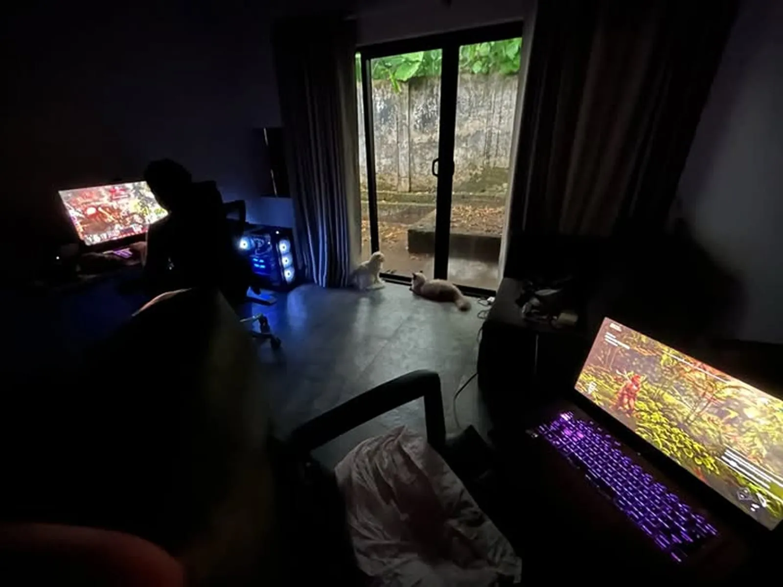 A dark room at night with two lit gaming monitors, an RGB tower and two pale cats sitting by a glass door onto a wet garden.